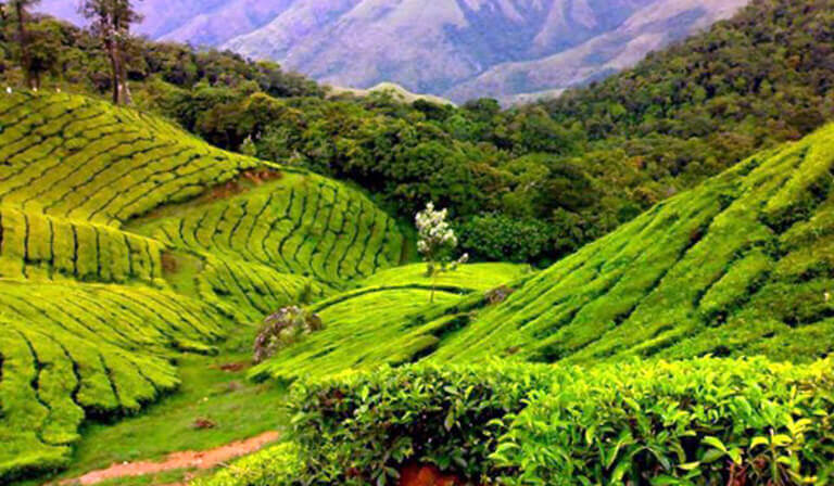 best kerala tour packages 6